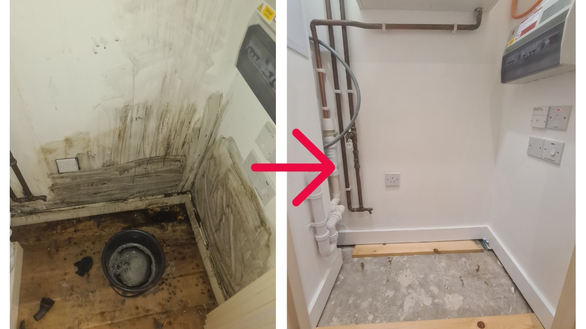 Painter and Decorator: Image 1
